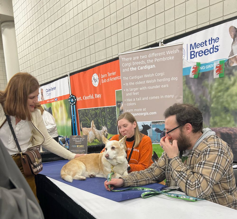 2024 AKC Meet the Breeds, New York City